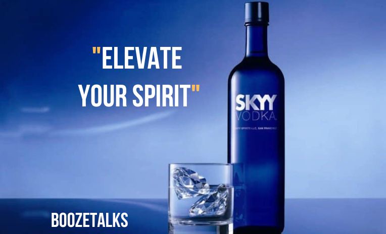 skyy vodka brand slogan