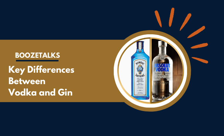 Boozetalks: Key Differences Between Vodka and Gin