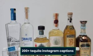 200+ tequila instagram captions for your next post