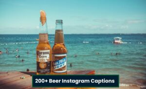 200+ beer Instagram captions