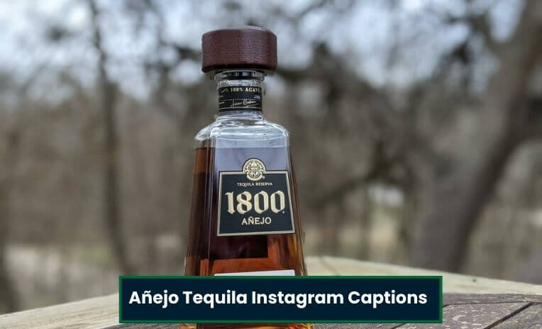 Añejo tequila instagram captions
